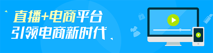 盐津铺子分销系统开发