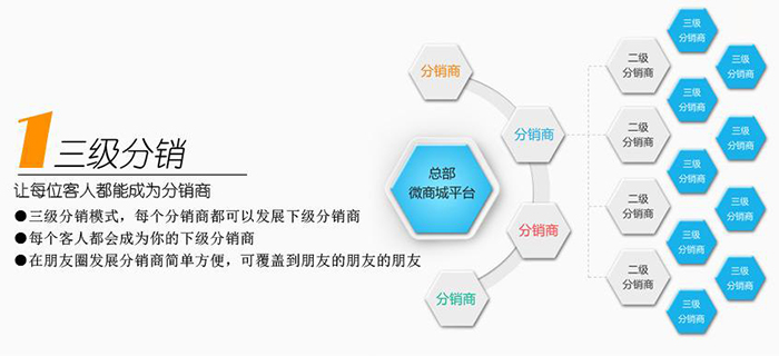 健康猫分销系统